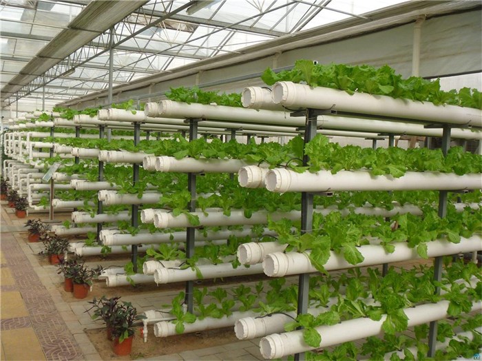 琼海市植物工厂种植槽 - 价格