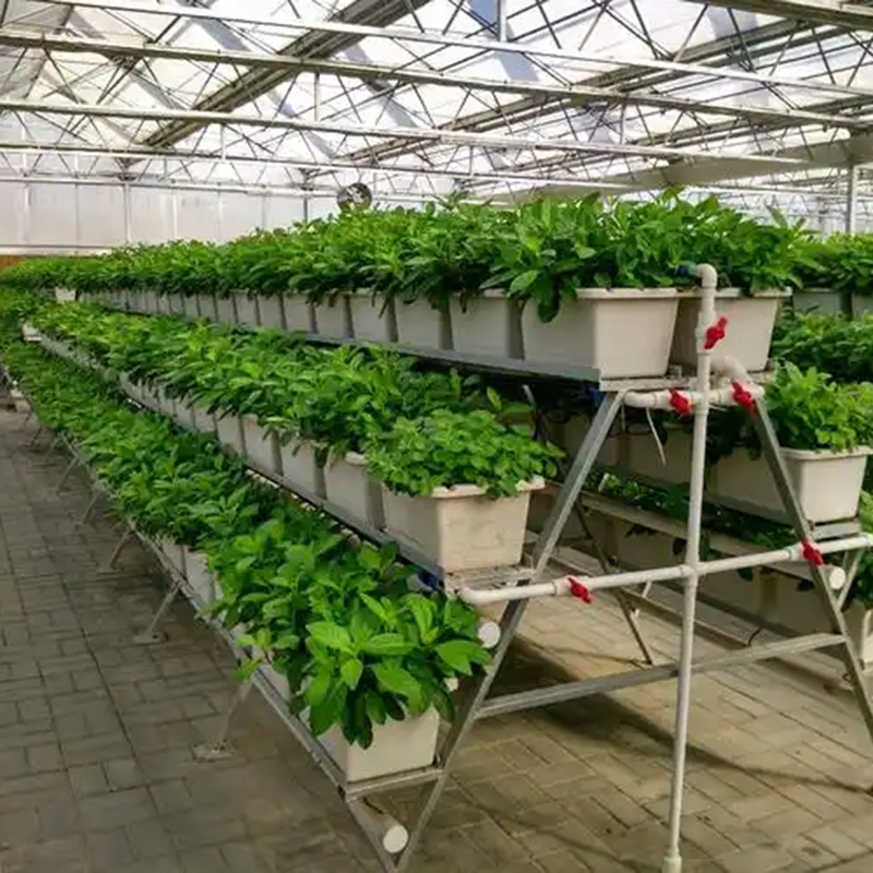 琼海市植物工厂智能温室 - 厂家