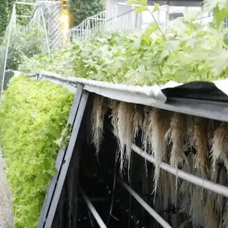 琼海市气雾培植物工厂 - 推荐